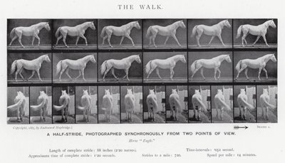 The Walk by Eadweard Muybridge