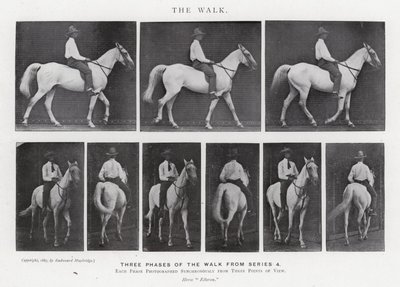 The Walk by Eadweard Muybridge