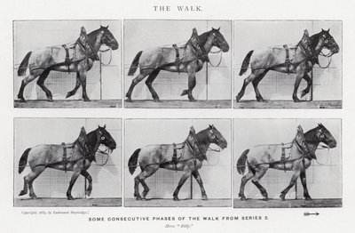 The Walk by Eadweard Muybridge