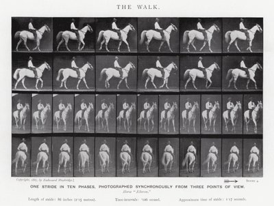 The Walk by Eadweard Muybridge
