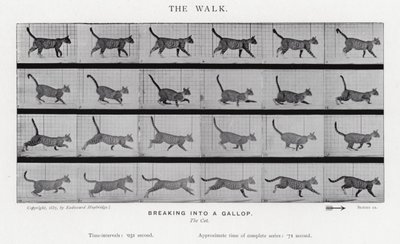 The Walk by Eadweard Muybridge