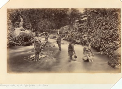 Evening Recreations of the Coffee Pickers, San Isidro, from The Pacific Coast of Central America and Mexico; the Isthmus of Panama; Guatemala; and the Cultivation and Shipment of Coffee by Eadweard Muybridge
