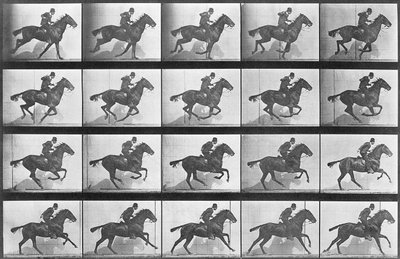 Galloping Horse, plate 628 from 