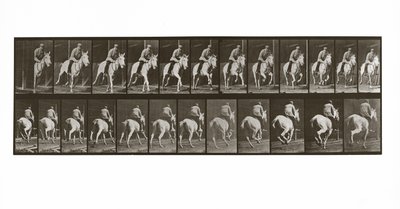 Galloping Horse with Rider, Plate 635 from Animal Locomotion by Eadweard Muybridge