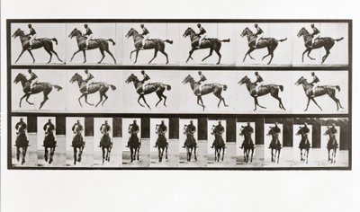 Horse and Rider, Plate 621 from Animal Locomotion by Eadweard Muybridge