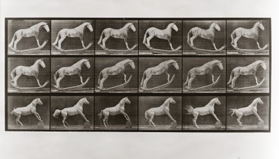 Horse on Rockers and Horse Rolling a Barrel, Plate 649 from Animal Locomotion by Eadweard Muybridge