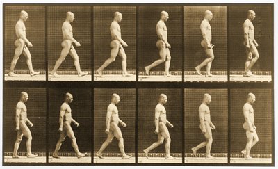 Image sequence of a nude man walking, 