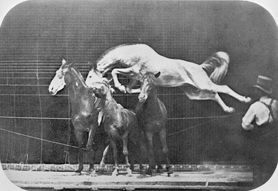 Jumping over three horses...chestnut horse Hornet, from 
