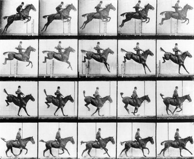 Man and Horse jumping, from 
