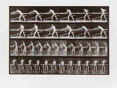 Man planing wood, Plate 379 from Animal Locomotion by Eadweard Muybridge