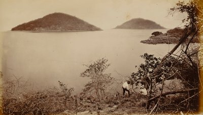 Perico and Flamenco from Island of Naos, Panama by Eadweard Muybridge