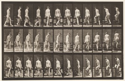 Turning and Ascending Stairs, Bucket Water in Each Hand by Eadweard Muybridge