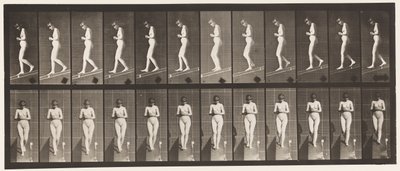 Plate 115. Descending Incline with Hands Clasped in Front by Eadweard Muybridge