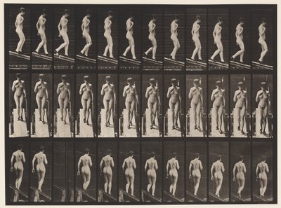 Plate 119. Descending Incline, Right Hand on Breast by Eadweard Muybridge