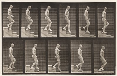 Plate 126. Descending Stairs by Eadweard Muybridge