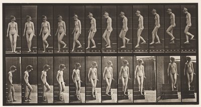 Descending Stairs, Turning Around by Eadweard Muybridge
