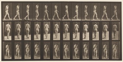 Plate 14. Walking, Right Hand at Chin by Eadweard Muybridge