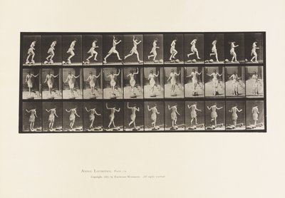 From Stone to Stone Across A Brook by Eadweard Muybridge