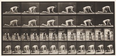 Plate 182. Crawling On Hands and Knees by Eadweard Muybridge