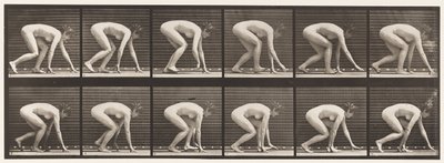 Plate 183. Walking on Hands and Feet by Eadweard Muybridge