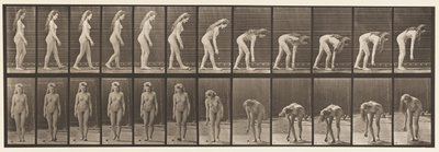 Stopping to Pick Up Ball by Eadweard Muybridge