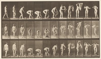 Lifting Cloth from the Ground by Eadweard Muybridge