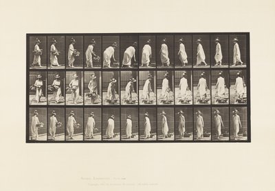 Plate 229. Placing Basket on the Ground and Turning by Eadweard Muybridge