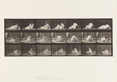 Turning and Changing Position While on the Ground by Eadweard Muybridge