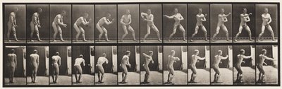 Plate 285. Base-ball; Catching and Throwing by Eadweard Muybridge