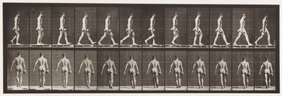 Plate 28. Walking, Carrying 50 lb. Dumb-Bell in Right Hand by Eadweard Muybridge
