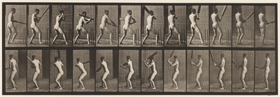 Plate 292. Cricket; Batting; Back Out by Eadweard Muybridge