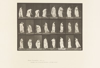 Playing with a Ball by Eadweard Muybridge