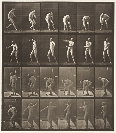 Picking Up A Ball and Throwing It by Eadweard Muybridge