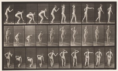 Plate 304. Picking Up a Ball and Throwing It by Eadweard Muybridge