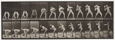 Lifting a 75-lb Rock by Eadweard Muybridge