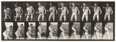 Curling 50-lb. Dumb-Bell, Model, 3/4 length by Eadweard Muybridge