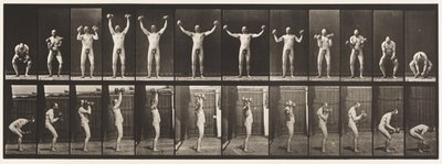 Plate 325. Lifting and Holding Two 50-lb. Dumb-Bells, 1885 by Eadweard Muybridge