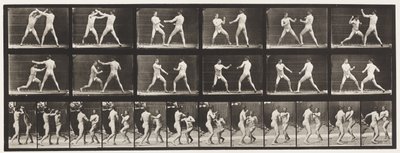 Plate 329. Boxing; (Shoes) by Eadweard Muybridge