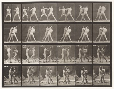 Plate 330. Boxing; Cross-Counter (Shoes) by Eadweard Muybridge