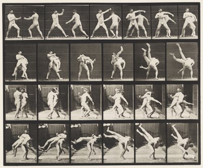Plate 332. Boxing; Cross-Buttocks by Eadweard Muybridge