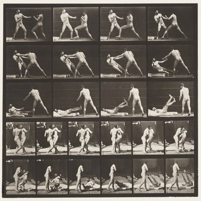 Plate 333. Boxing; Knocking Down (Shoes) by Eadweard Muybridge