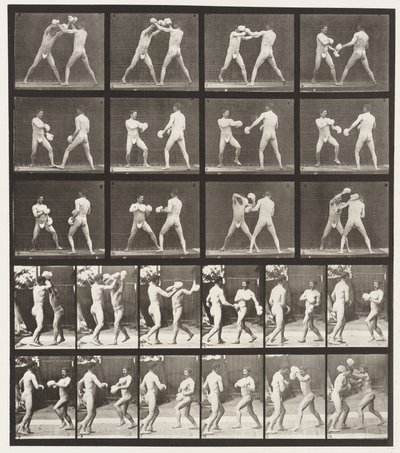 Plate 334. Boxing; With Gloves by Eadweard Muybridge
