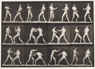 Boxing; Open Hand (Shoes) by Eadweard Muybridge