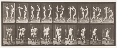 Boxing; Open Hand by Eadweard Muybridge