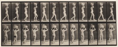 Walking, 14-lb. Basket on Head, Hands Raised by Eadweard Muybridge