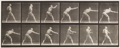 Plate 344. Striking a Blow (Right Hand) by Eadweard Muybridge