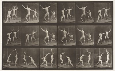 Plate 350. Fencing by Eadweard Muybridge
