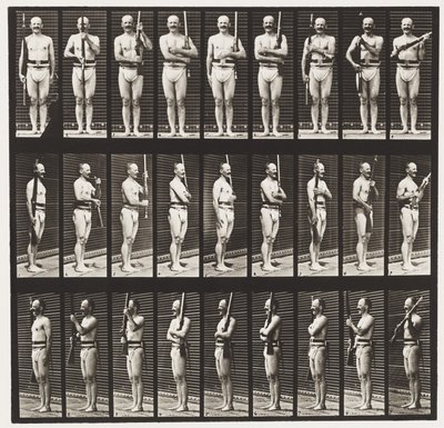 Support Arms and Arms Port by Eadweard Muybridge