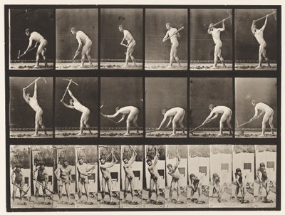 Farmer, Using a Pick by Eadweard Muybridge