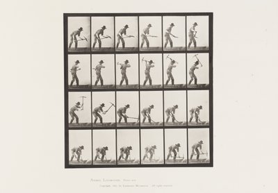 Miner Using a Pick by Eadweard Muybridge